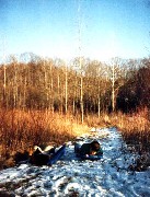 Powder Mill Park; Day Trips
